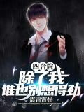 四合院：除了我，谁也别想得劲